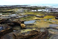 潿洲島旅游景點