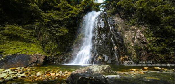 賀州,旅游,姑婆山,國家,森林公園,