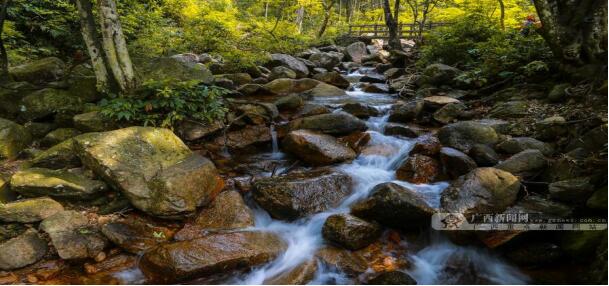 賀州,旅游,姑婆山,國家,森林公園,