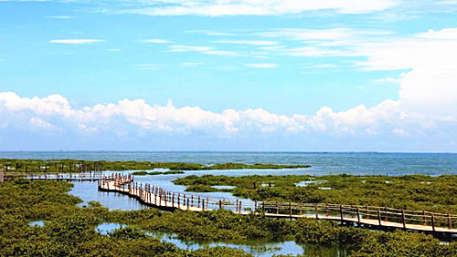 暑假到北海旅游,廣西北海旅行社,