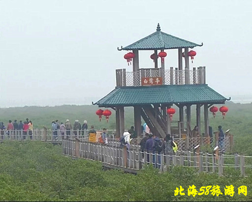 北海紅樹林優(yōu)惠門票,廣西北海旅行社,