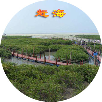 北海紅樹(shù)林趕海要錢(qián)嗎