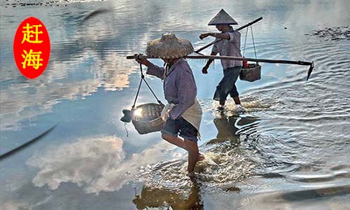 北海旅游趕海,