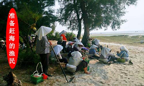 北海旅游趕海,