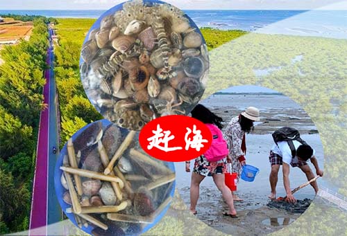 北海旅游景點,趕海捕魚,