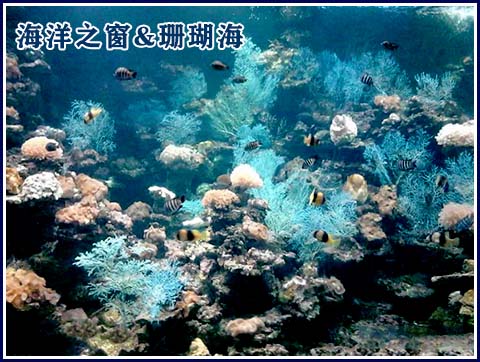 廣西北海旅游,海洋之窗門票多少錢