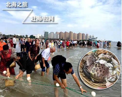 北海珠鄉趕海潮汐時刻表，廣西北海旅游