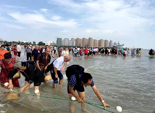 北海趕海挖螺,北海旅游