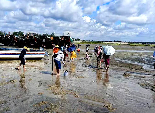 北海趕海挖螺,北海旅游