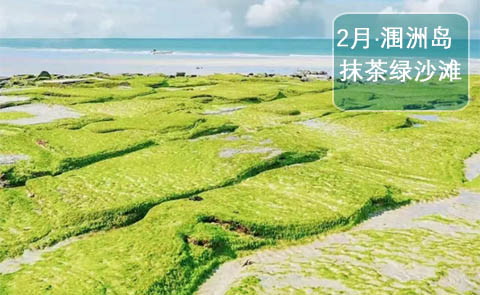 北海潿洲島旅游攻略